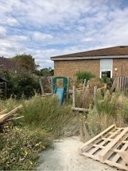 Garden 5